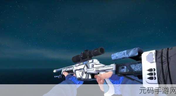 日本CS：GO大姐姐AWP多少钱：1. 日本CS：GO大姐姐AWP价格揭秘，背后的故事是什么？