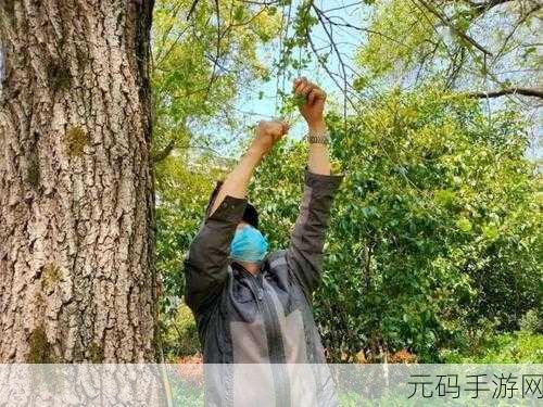 榆树老人做交易森林图片:1. "榆树老人:森林交易中的智慧与坚持