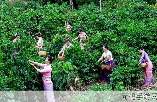 妇女被深耕过后有哪些表现呢图片：1. 深耕后的女性：自信与力量的蜕变