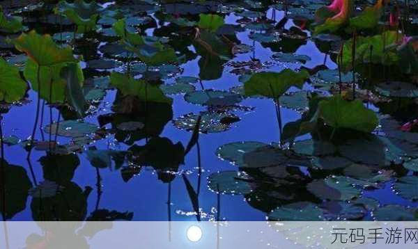 两瓣红莲今夜开一池碧水盼君浴:1. 红莲绽放,碧水映君影的美丽夜晚