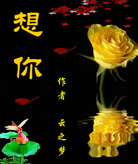 在寂寞的午夜特别的想你啥歌：当然可以！以下是一些基于“在寂寞的午夜特别想你”主题而拓展出的新