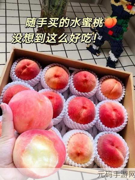 X7X7X7X7水蜜桃:1. 独特水蜜桃:X7X7带来的甜美享受