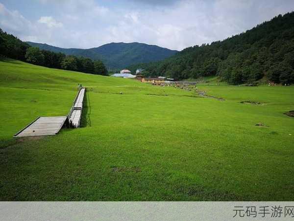 伊春园2024口直达：以下是一些关于伊春园2024口直达的标题建议：