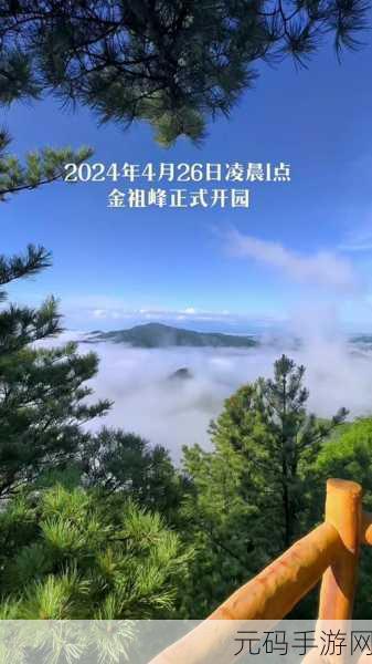 伊春园2024口直达：以下是一些关于伊春园2024口直达的标题建议：