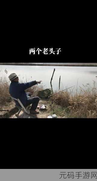 老王头的幸福晚年张倩倩：1. 老王头的晚年生活：追寻幸福的旅程