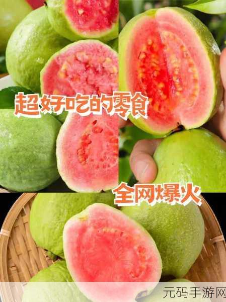 香蕉黄瓜草莓芭乐绿巨人重新上架：1. 新鲜水果大集合：香蕉、黄瓜、草莓与芭乐的美味搭配