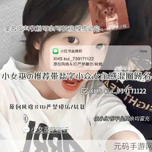学生的妈妈1字ID:根据学生妈妈的1字ID,以下是一些扩展后的