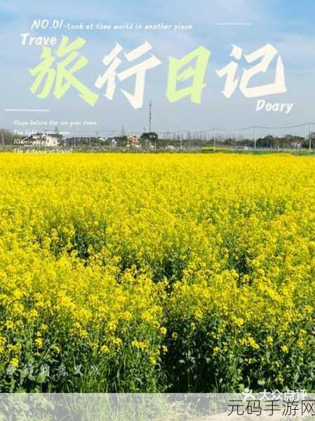 4399电影网免费观看：1. 免费在线观看4399电影网的精彩大片