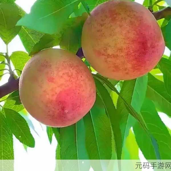 蜜汁肉桃-作-者:棠梨煎雪:1. 《蜜汁肉桃:甜蜜与温情的交织
