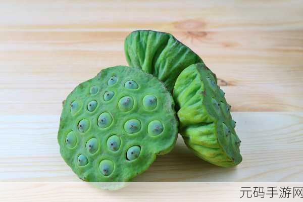 半脱莲房露压欹:当然可以!以下是基于“半脱莲房露压欹”扩展出的新标题,字数均不少于10个字: