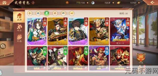 少年三国志2阵容选择深度解析,策略与搭配的奥秘
