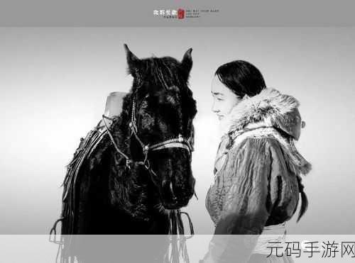 两个人看的www高清完整版：1. 《两人共赏高清完整版：探索视觉艺术的魅力
