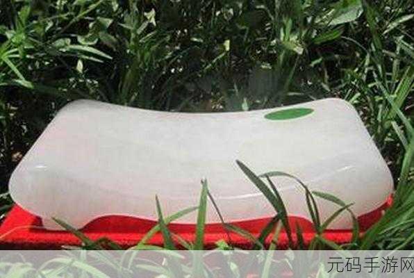 玉枕含珠:1. 玉枕含珠:古典美学与现代生活的交融