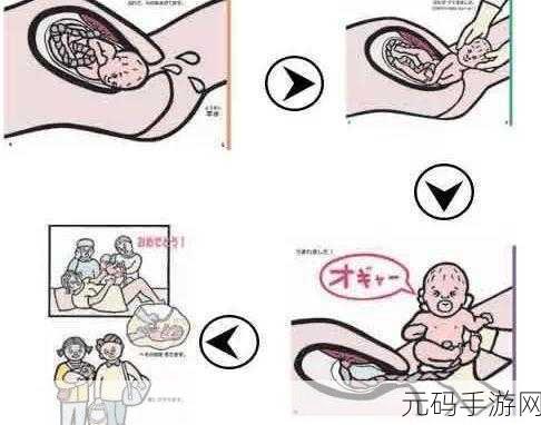 怎么奖励自己的隐私位置：1. 如何保护隐私同时享受个性化奖励
