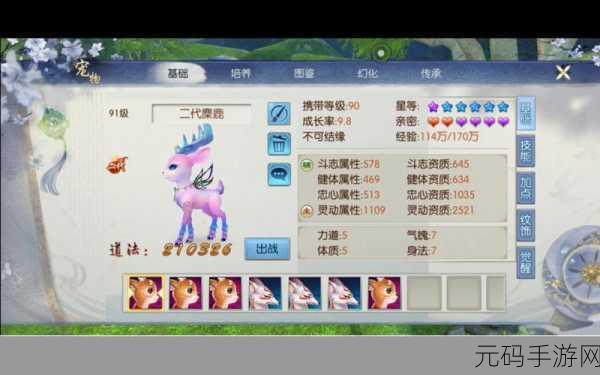 诛仙手游，普通宠物与稀有宠物的深度对比与解析