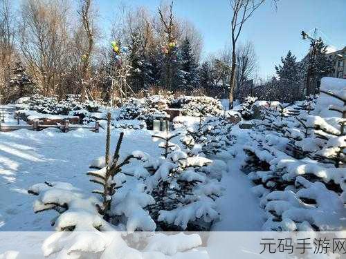 丰年经与中文2的差异:以下是基于《丰年经》与《中文2》的差异拓展出的