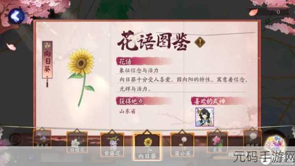 阴阳师七夕花瓣获取全攻略