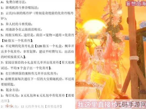 手游资讯，深入探究妄想山海育化丹的核心作用