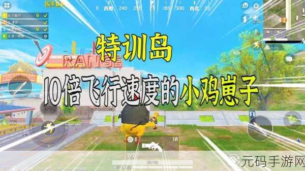 和平精英,解决变身小鸡队友看不见的问题,提升游戏互动体验