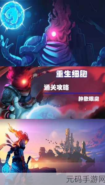 手游资讯,揭秘重生细胞国王之手的致命弱点与制胜之道