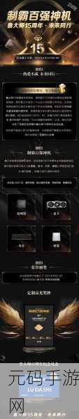 鲁大师WWW好看瘫痪:1. 鲁大师:如何解决WWW好看瘫痪问题?