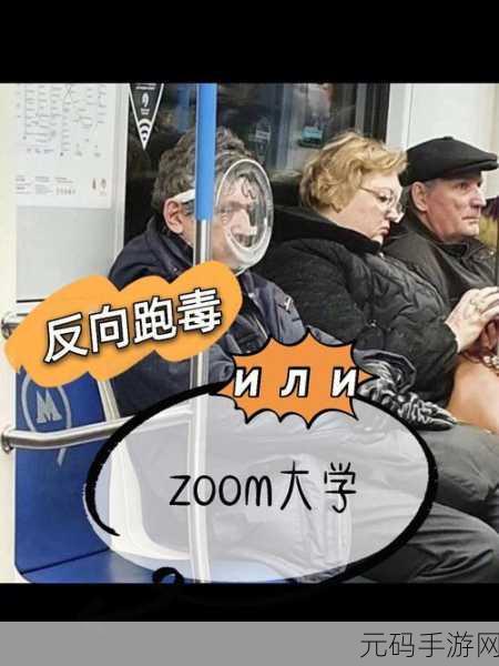 农场Zoom与人性Zoom：1. 农场Zoom：数字化农业的未来之路