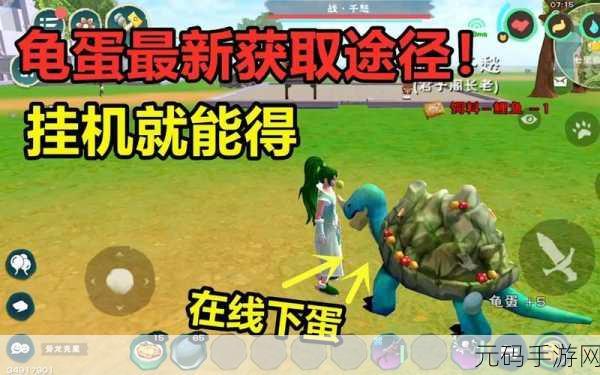 手游资讯，探索创造与魔法龟蛋饲料包的多样用途