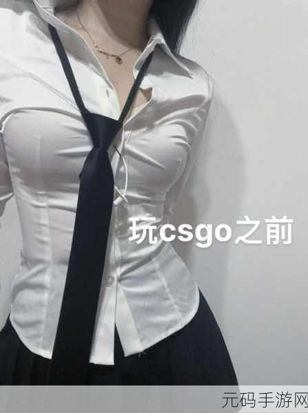 揭秘暴躁老阿姨csgo技巧：1. 破解暴躁老阿姨的CSGO绝密技巧大揭秘