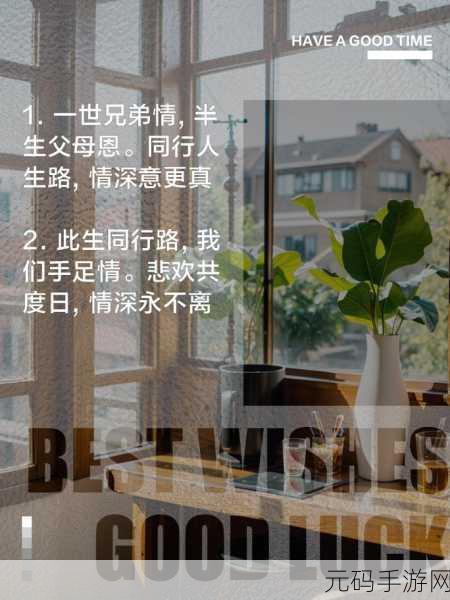 兄弟1V2前后：1. 兄弟情深：面对挑战的勇敢选择