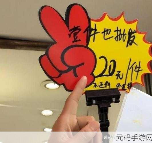 小扫货的秘密：1. 小扫货的秘密：如何在购物中省钱又省心