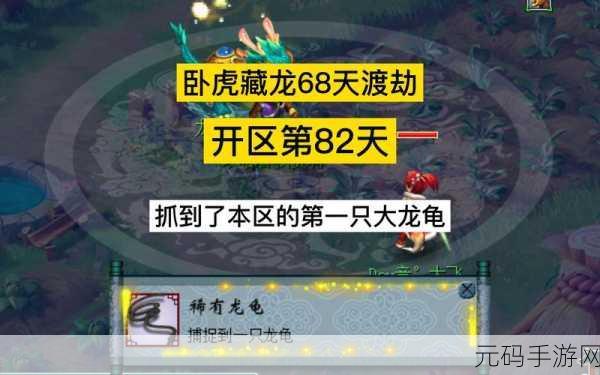 梦幻西游手游,揭秘龙龟最值钱技能搭配,打造顶级宠物攻略