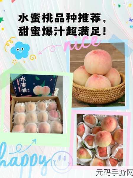 日本水蜜桃品种岭风：“探索岭风水蜜桃的独特魅力与栽培技巧”