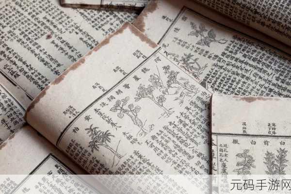 桃源深处有人家藏经室守真通关秘籍，解锁智慧之门，探寻古籍奥秘