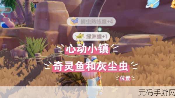 心动小镇,三星以上珍稀虫类捕捉指南及最新游戏资讯