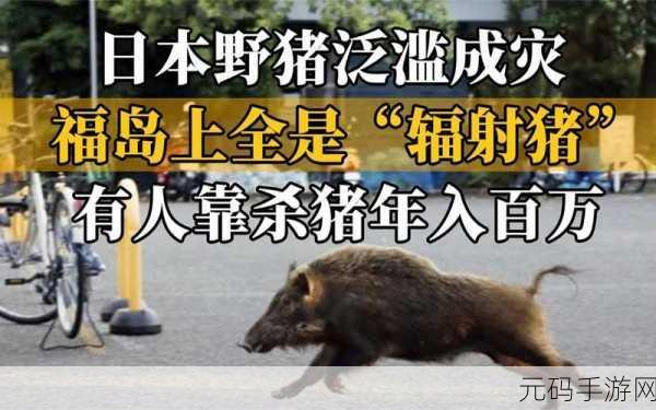 人or猪or狗已彻底下架老用户:1. "人、猪、狗下架后,如何探索新领域?