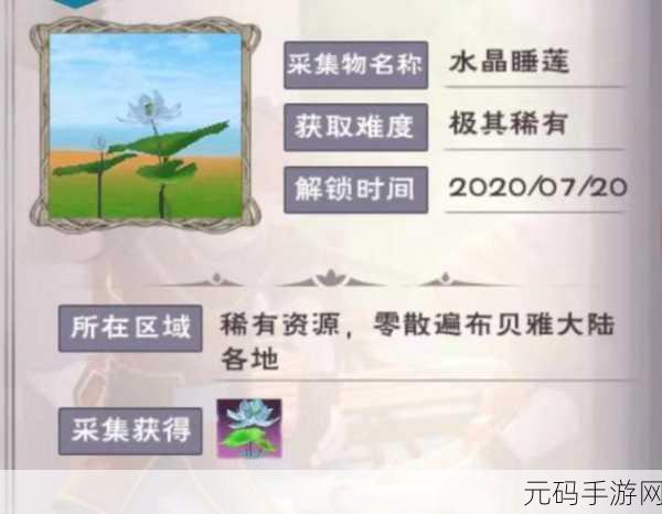 探索创造与魔法，白莲的神奇力量与多样用途