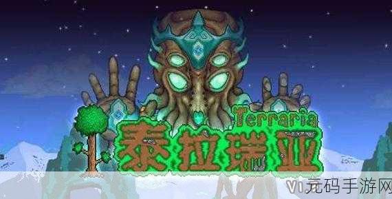 泰拉瑞亚，护士环境偏好大揭秘