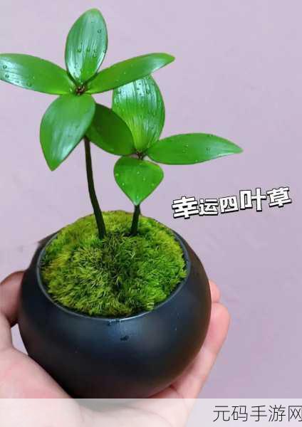 四叶草实验室2024隐藏入口：1. 四叶草实验室2024：探索隐藏入口的神秘之旅