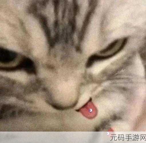 舌头往下舔到一个硬硬的包疼：舌尖探秘：解析口腔内硬块疼痛的原因与应对方法