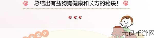 人狗胶配方大全狗狗：1. 创新人狗胶配方：让爱犬更加健康快乐