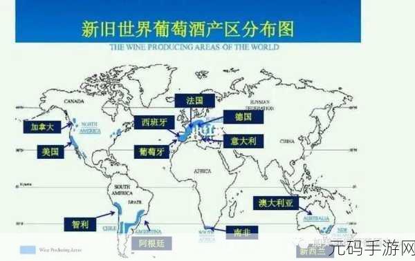 欧美的一线产区和二线产区：1. 欧美一线产区的葡萄酒风味探索之旅