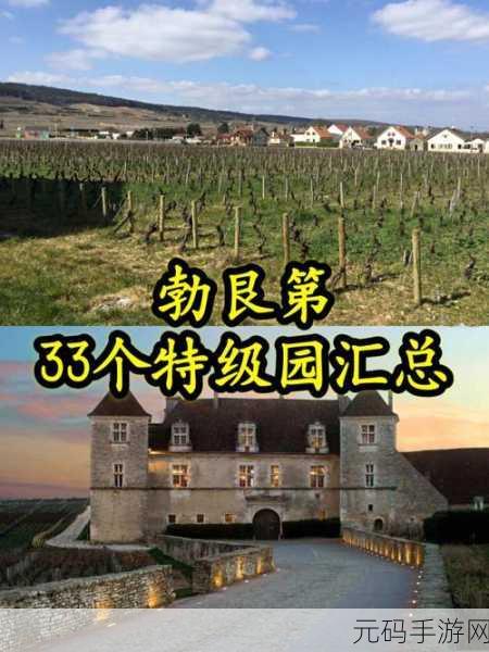 欧美的一线产区和二线产区:1. 欧美一线产区的葡萄酒风味探索之旅