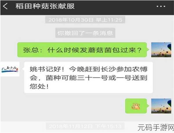 东北阿姨找老伴的明白账：1. ＂东北阿姨的爱情启示：寻找真爱的明白账