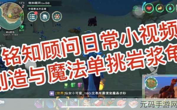 创造与魔法熔岩龟捕捉等级与技巧全解析