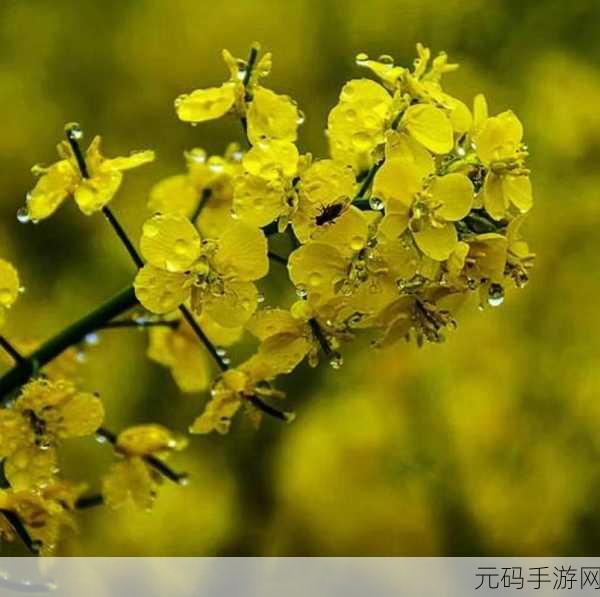 室外春雨绵绵室内欢声依旧:1. 春雨如丝,室内欢声笑语不断回响