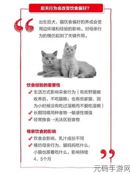 肉食教师食取报告3HD:1. 《探秘肉食教师的饮食习惯与健康影响
