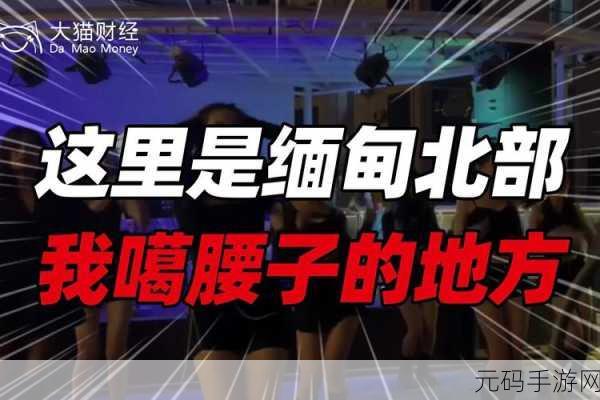 缅北14may18-XXXXXL56endian:1. 缅北14May18:探索神秘的未来之路