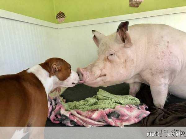 人or猪or狗已彻底下架：1. ＂人、猪、狗已全面下架，未来的动物角色将如何演变？