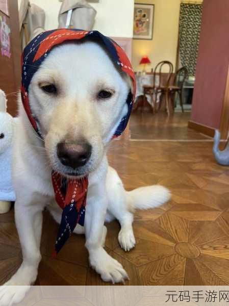 人or猪or狗已彻底下架:1. "人、猪、狗已全面下架,未来的动物角色将如何演变?