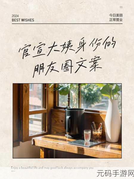 沈阳大姨的声音为什么那么好听:1. 沈阳大姨的声音背后的艺术魅力